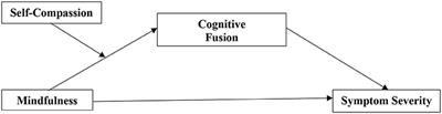 Mindfulness, cognitive fusion, and self-compassion in patients with schizophrenia spectrum disorders—A cross-sectional study